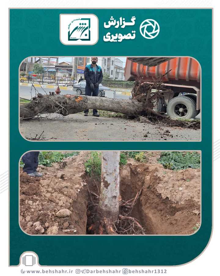 برای اولین بار در بهشهر صورت پذیرفت