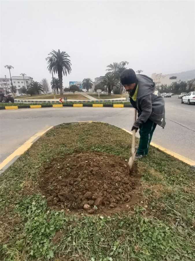 در شهر